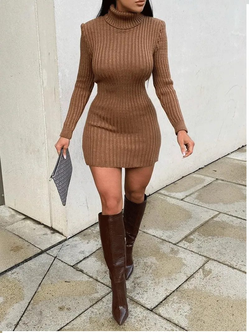 Roll Neck Knit Mini Dress -Brown