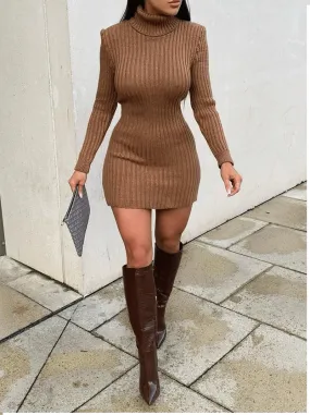 Roll Neck Knit Mini Dress -Brown